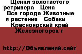 Щенки золотистого ретривера › Цена ­ 15 000 - Все города Животные и растения » Собаки   . Красноярский край,Железногорск г.